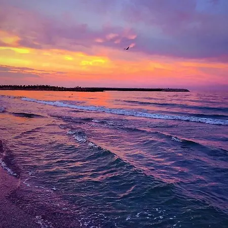 Loft Apartment Mamaia
